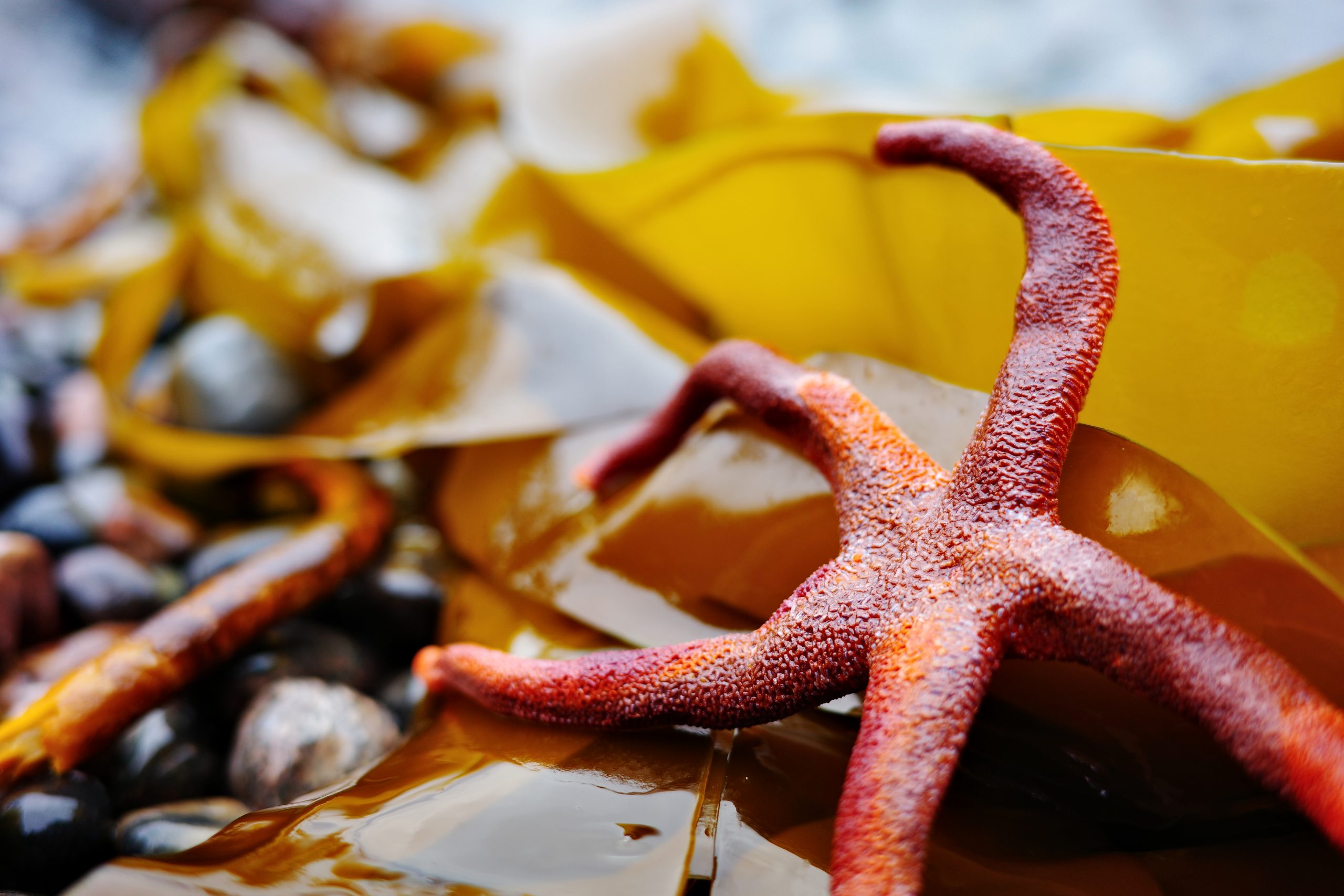 Banner background image